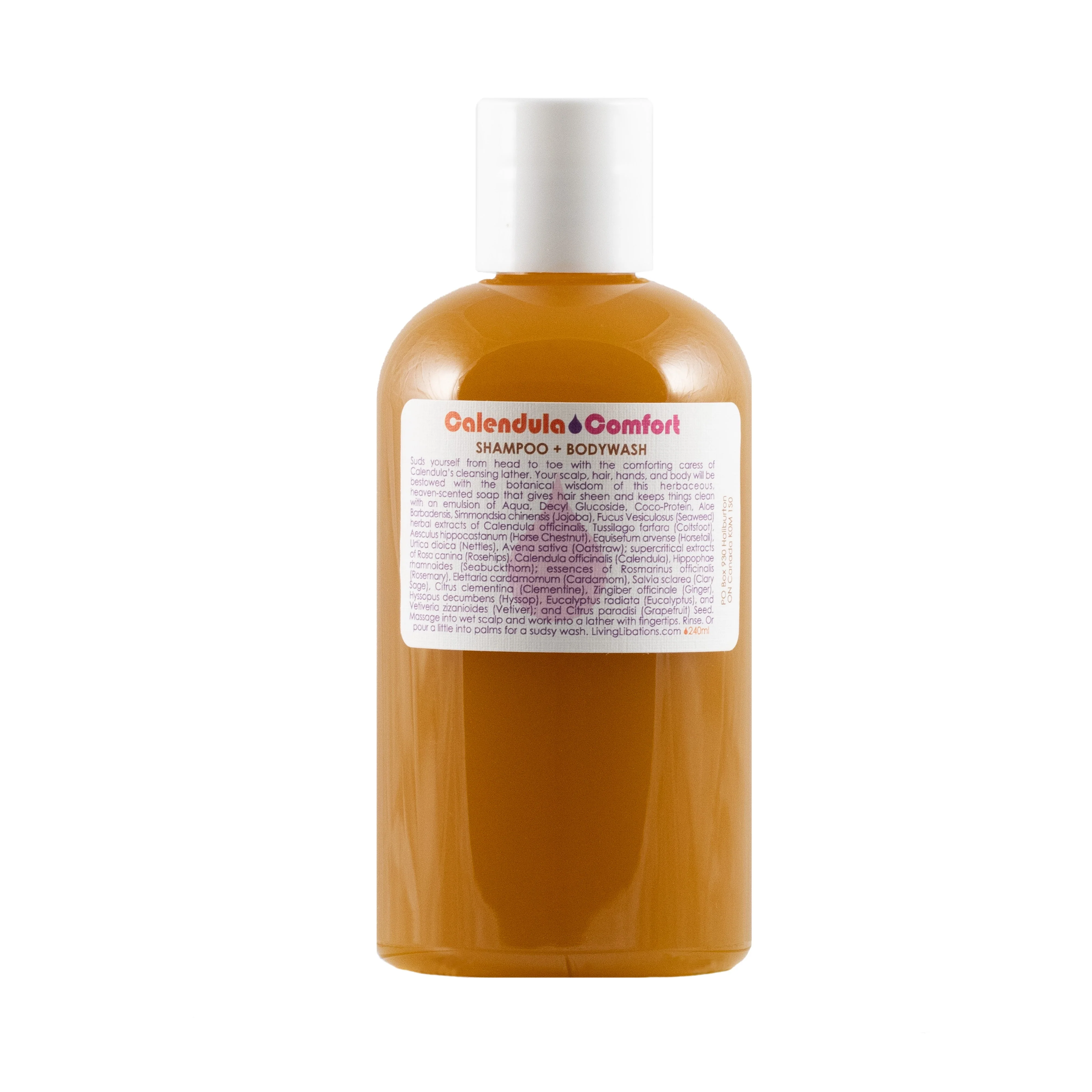 Calendula Comfort - Shampoo + Bodywash - Image 3