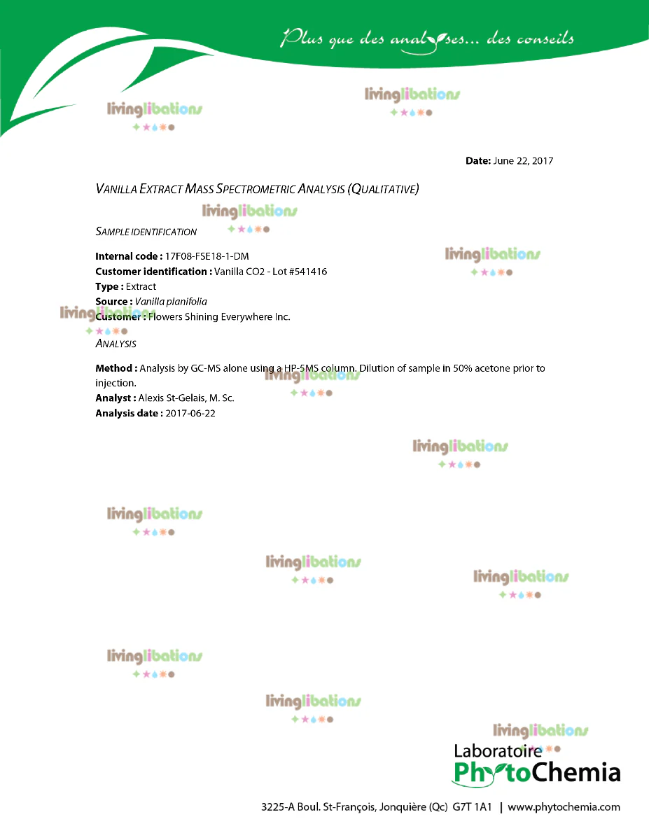 Vanilla - Essential Oil - Image 3